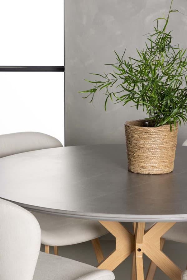 Piazza spisebordssæt bord grå og 4 Lilja stole beige.