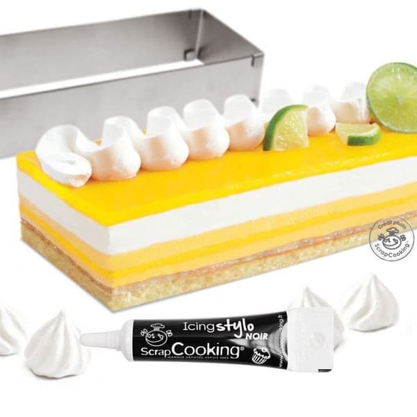 Rectangle Stretch Frame + Black Icing Pen
