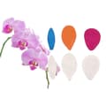 Miniatyrbild 3 av 5: Orkidé Petal Veiner Set 3 Delar, Silikonform