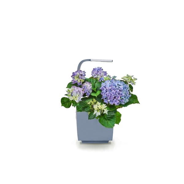Tregren Kitchen Garden T3 Grå