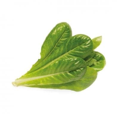 Click & Grow - Smart Garden Refill 3-pakning - Romainesalat (SGR50X3)
