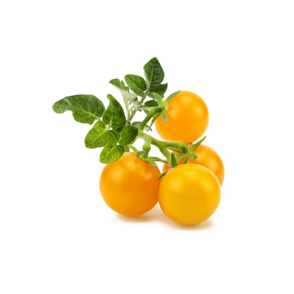 Click & Grow- Smart Garden Refill 3-pakning Gul tomat
