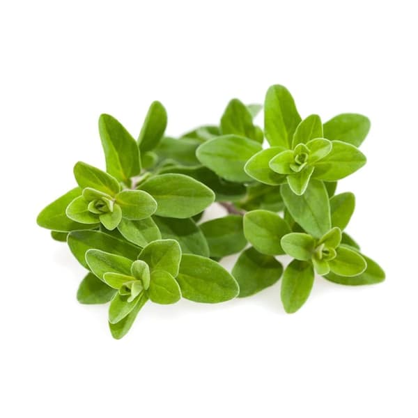 Click & Grow - Smart Garden Refill 3-pak merian
