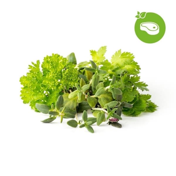 Click & Grow - Smart Garden Refill 9-pakning Grill & Steak Mix