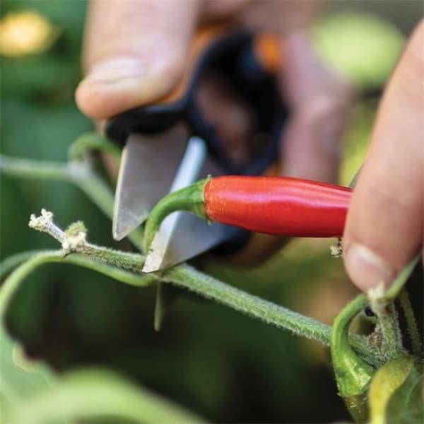 Kryddväxtsax Solid™ SP220 - FISKARS - Klipp - Rostfritt stål