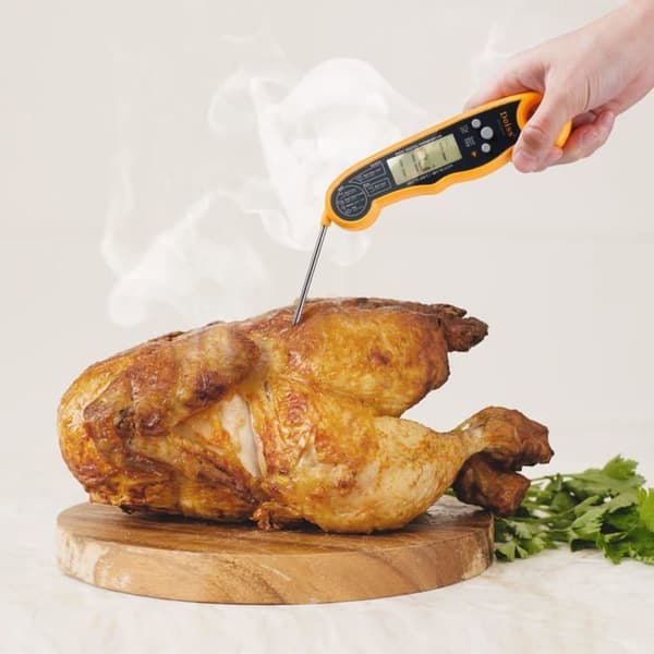 Deiss PRO Digital kökstermometer - Vikbar temperatursond - Med LED-bakgrundsbelysning