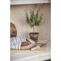 Miniatyrbild 4 av 6: STRIPE Kökshandduk 2-pack