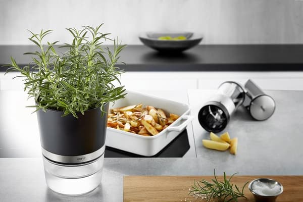 GEFU BOTANICO Örtkruka Fristående Plast, Rostfritt stål Svart