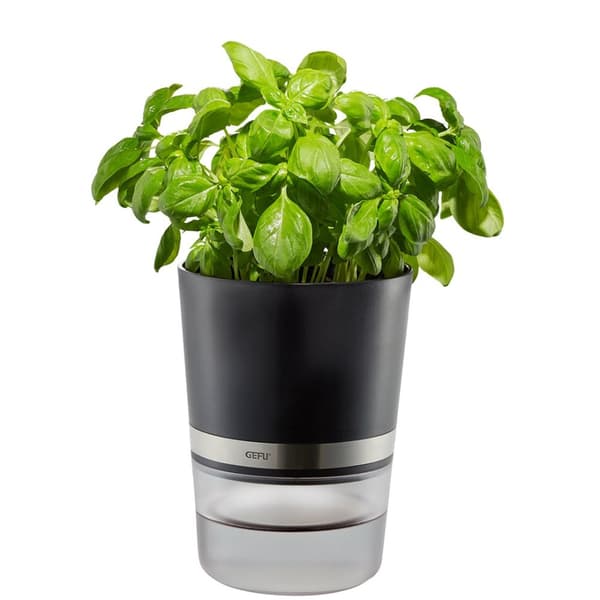 GEFU BOTANICO Urtepotte Fritstående Plastik, Rustfrit stål Sort