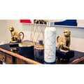 Miniatyrbild 6 av 6: Flaska - Quokka - 11825 - Rostfritt Stål - 510ml - Jet Black