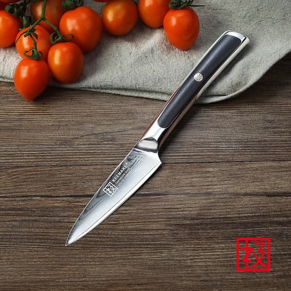 Damaskusstål Knivset, VG10 Blad, G10 Handtag,A-3.5in Skalkniv