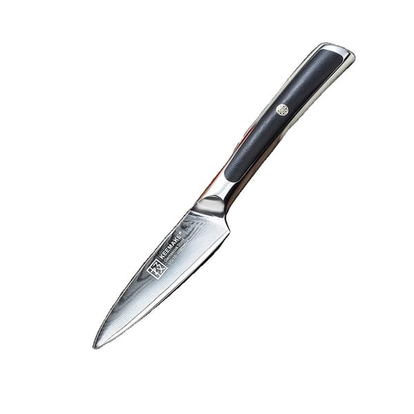 Damaskusstål Knivset, VG10 Blad, G10 Handtag,A-3.5in Skalkniv