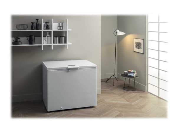 Bauknecht GTE 508 FA - Öppning uppåt - bredd: 118 cm - djup: 69.8 cm - höjd: 91.6 cm - 315 liter - Klass E - vit