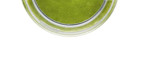 Bosch - ToGo Bottle - Vacuum blender tillbehör