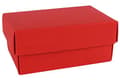 Miniatyrbild 3 av 6: BUNTBOX L presentförpackning röd (71-17)