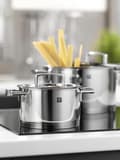 Miniatyrbillede 9 af 11: Zwilling Passion - Pandesæt - 5-Styks