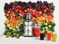 Miniatyrbillede 9 af 11: Salvie Nutri Juicer® Cold XL Juicer