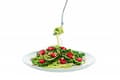 Miniatyrbillede 10 af 11: WMF KULT X elhakker 1,25 l Sort, Krom, Transparent 80 W