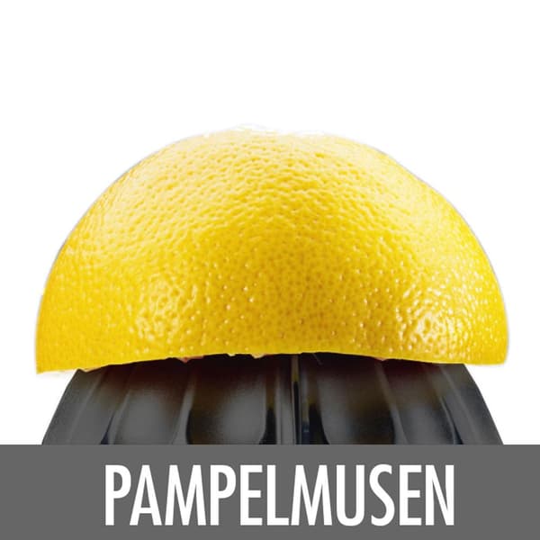 Gastroback Citrus Press Hjemmekultur