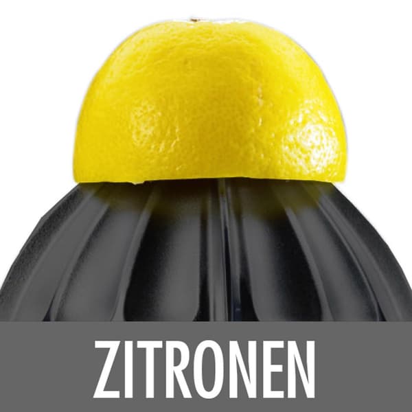 Gastroback Citrus Press Hjemmekultur