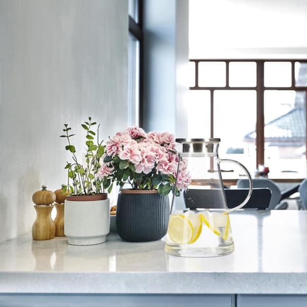 Relaxdays kannellinen vesikannu - 1,8 l - lasikannu - mehukannu - kannu - suodattimella