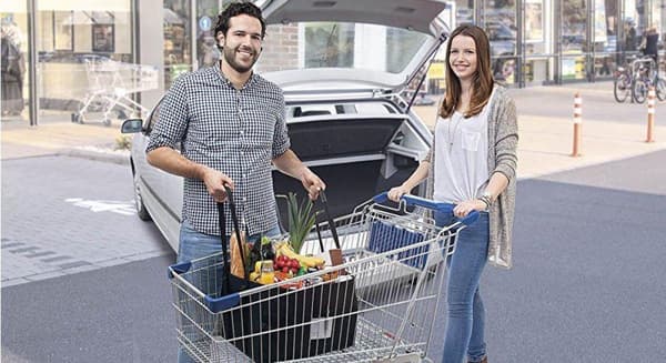 WEDO BigBox Shopper L - tavaratila