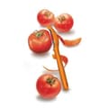 Pikkukuva 3 / 5: Victorinox Peeler - appelsiini