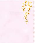 Miniatyrbillede 4 af 9: HERMA 15421 mappe A4 Pap Pink