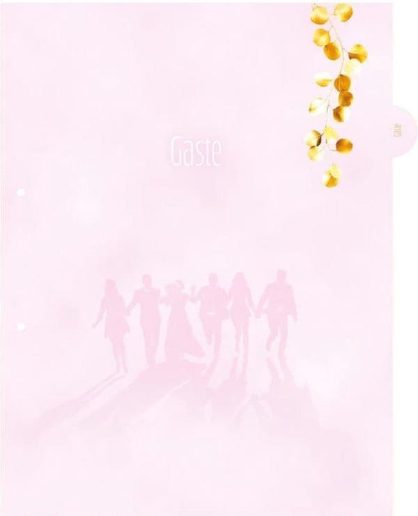 HERMA 15421 mappe A4 Pap Pink