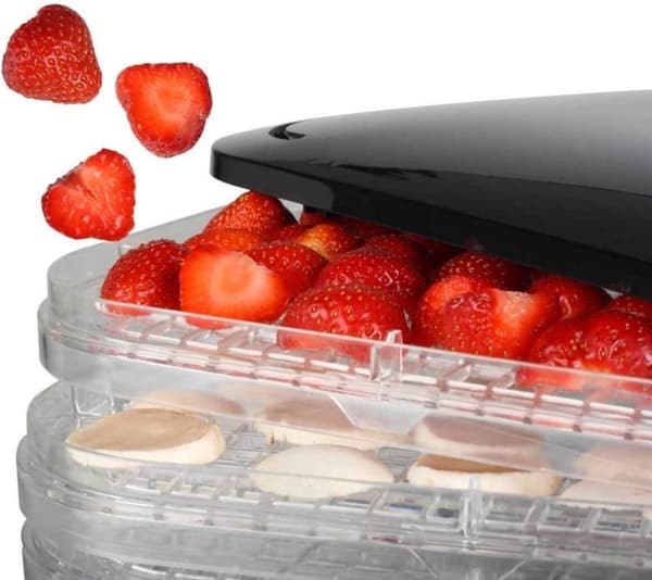 Princess Food Tork 245W svart frukttork (112380)