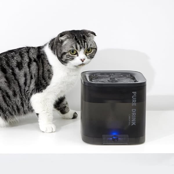 PETKIT Eversweet Solo - Smart djurdricksfontän - Grå