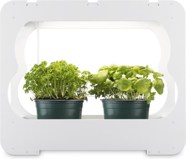 Xavax Grow box med LED växtlampa, ca 3 krukor Ø 10 cm, fullspektrum LED