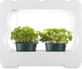 Miniatyrbild 2 av 3: Xavax Grow box med LED växtlampa, ca 3 krukor Ø 10 cm, fullspektrum LED