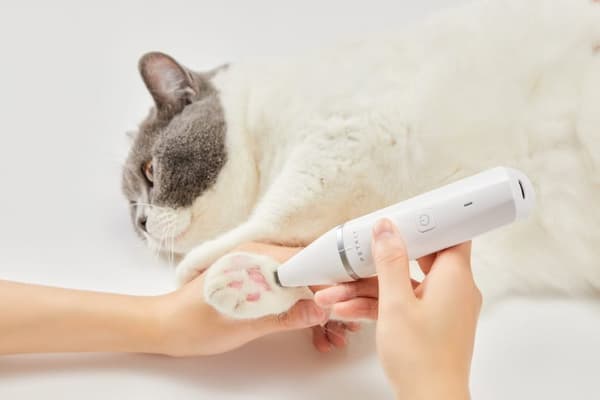 PETKIT 2 i 1 Pet Trimmer Pro - Hårtrimmer - Hvid - Hund