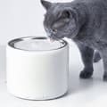 Miniatyrbild 8 av 8: PETKIT Eversweet 3 Pro – Cat Drinking Fountain – Med app – BPA-fri – 1,35L – Tyst – med filter