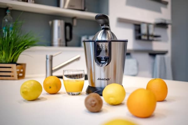 Steba ZP2 - Citrus juicer - rustfrit stål