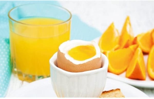Steba ZP2 - Citrus juicer - rustfrit stål
