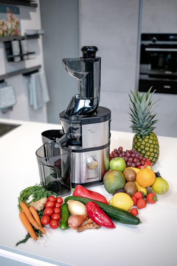 Steba E400 - Slow juicer - 1000 ml - 400 Watt - frugt & grønt - rustfrit stål