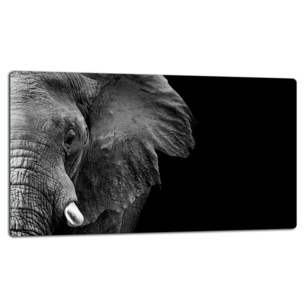 SKÄRBRÄDA I GLASPLATTA 52x30 ELEFANT