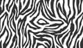 Miniatyrbild 2 av 11: SKÄRBRÄDA I GLASPLATTA 52x30 ZEBRA