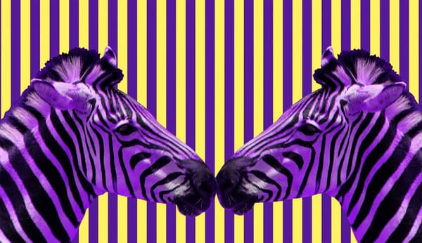 SKÄRBRÄDA I GLASPLATTA 52x30 ZEBRA