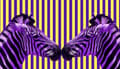 Miniatyrbild 2 av 11: SKÄRBRÄDA I GLASPLATTA 52x30 ZEBRA