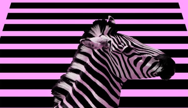 SKÆREBRÆT I GLAS 52x30 ZEBRA