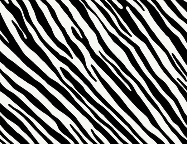 SKÄRBRÄDA I GLASPLATTA 52x40 ZEBRA