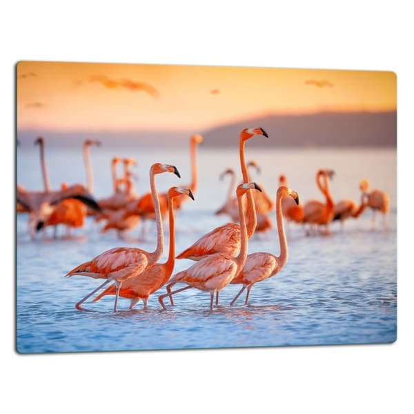 SKÄRBRÄDA I GLAS 52x40 FLAMINGO BEACH