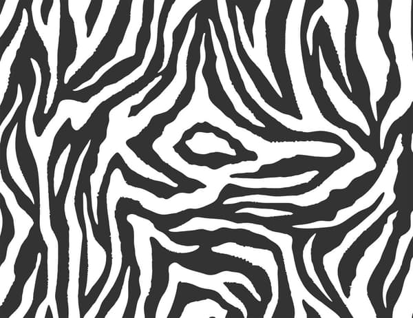 SKÄRBRÄDA I GLASPLATTA 52x40 ZEBRA