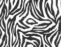 Miniatyrbild 2 av 11: SKÄRBRÄDA I GLASPLATTA 52x40 ZEBRA