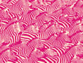 Miniatyrbild 2 av 11: SKÄRBRÄDA I GLASPLATTA 52x40 ZEBRA