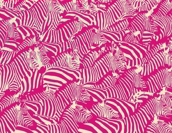 SKÄRBRÄDA I GLASPLATTA 52x40 ZEBRA