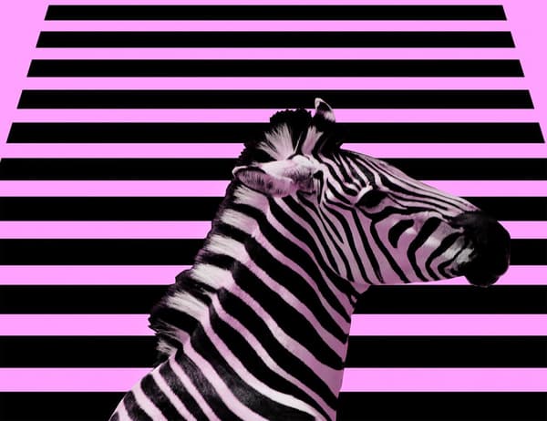 SKÄRBRÄDA I GLASPLATTA 52x40 ZEBRA